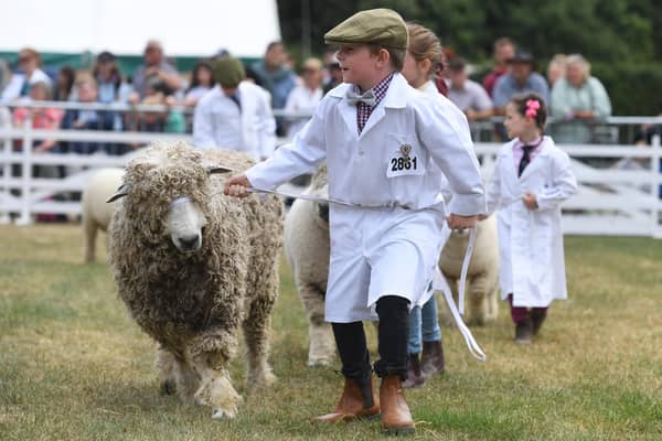 Young sheep handlers have been taking to the ring throughout the week to show off their skills