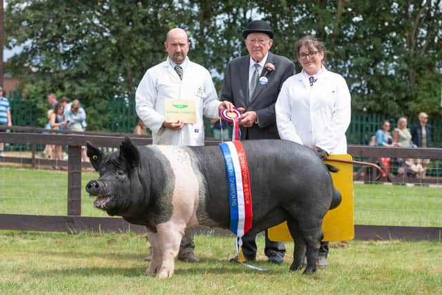 The Supreme Pig Championship was won by Stuart Roberts with his Hampshire Boar