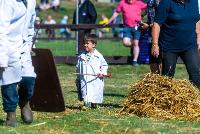 Young Pig handler Josh Kirby (aged two) took to the Pig Rings to show off his skills