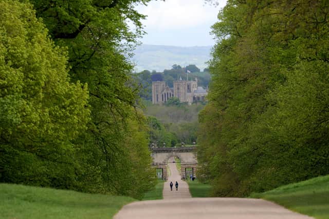 25th May 2021Harrogate walking feature.Pictured Studley Royal Deer Park with Ripon Catherdral in the backgroundPicture Gerard Binks