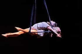 Levantes Dance Theatre’s premier of Run Rabbit Run, with storytelling, aerial circus and acrobatics.