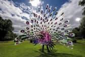 Carnival is back in Harrogate this Saturday, July 30, kicking off with a street parade through the centre of town.