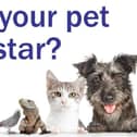 Enter our Top Pet competition before May 7.