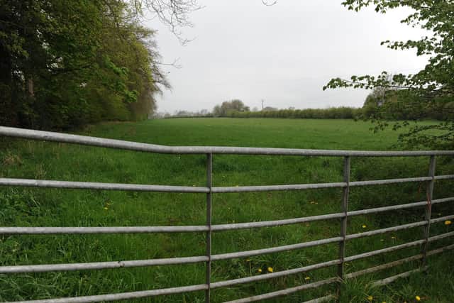 Will this field in Bishop Monkton be turned into housing? (Picture Gerard Binks)