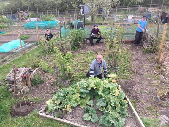 Open Country members connecting with nature on their allotment.
