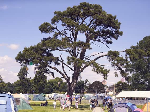 Deer Shed Festival in North Yorkshire is bringing its new and improved Base Camp back this July in line with Covid rules.