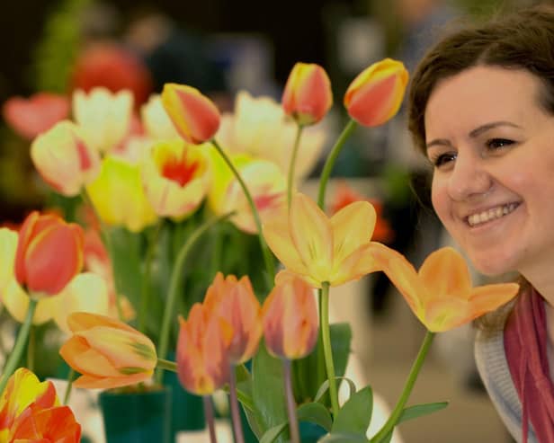Flashback to Harrogate Spring Flower Show in pre-Covid times.