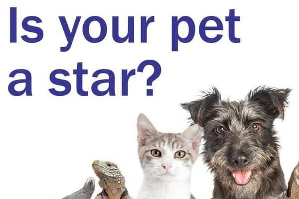 Vote for your favourite pet from our shortlist.