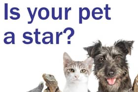 Vote for your favourite pet from our shortlist.