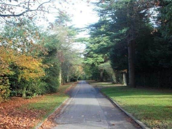 The Pinewoods - One of Harrogate's most popular outdoors spots.