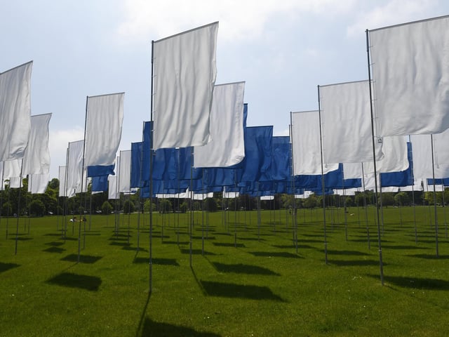 Take a look through these stunning images of the In Memoriam installation on the Stray.