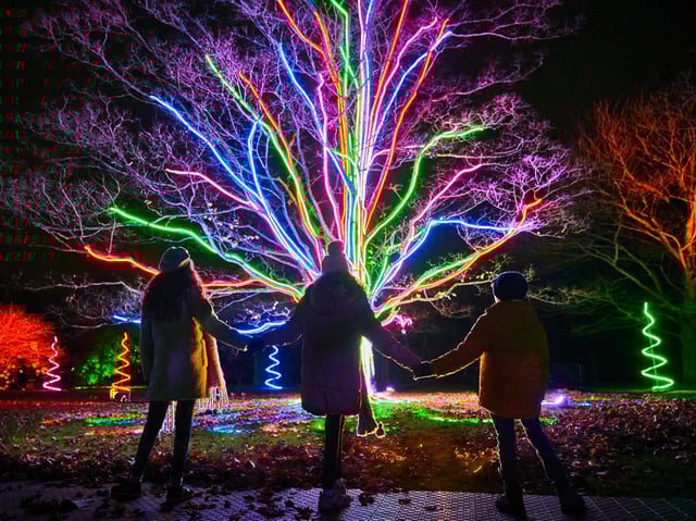 Neon Tree. Photo by Richard Haughton