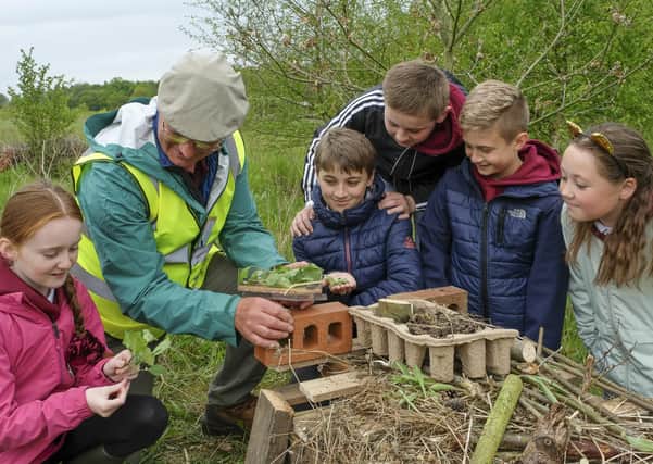 Children from Boroughbridge Primary School in North Yorkshire enjoy a field trip to the Woodmeadow Trust site near Escrick, York. pic mike cowling may 20 2021