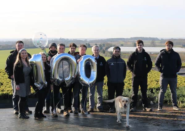 Horticultural nursery Johnsons of Whixley is celebrating its 100th anniversary this summer.