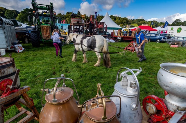 Nidderdale Show in September 2019. Picture James Hardisty