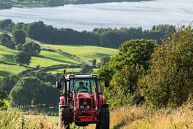 Grants available to Nidderdale farmers. Picture: Paul Skirrow