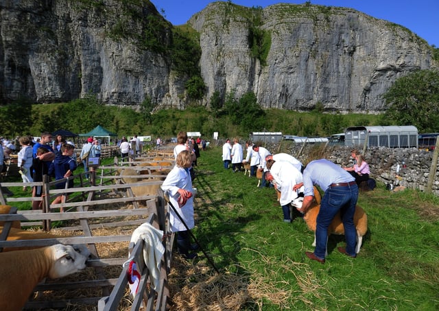 Kilnsey Show August 2019. Picture by Simon Hulme