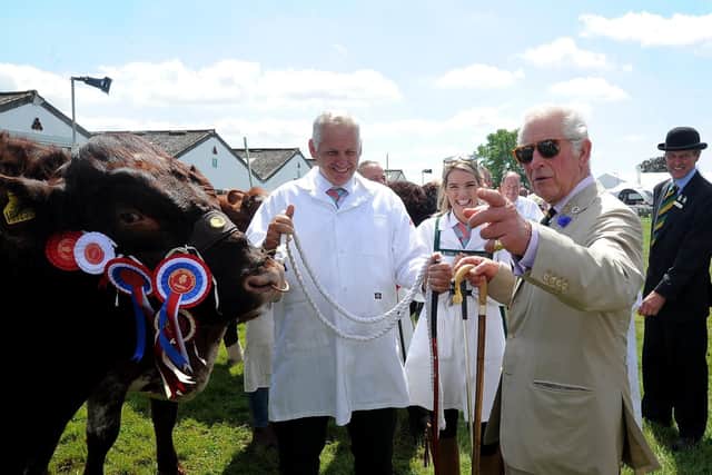 The Prince of Wales and the Duchess of Cornwall visit the Great Yorkshire Show, Harrogate... Prince Charles is pictured on the cattle lines at the show.. Image: Simon Hulme
