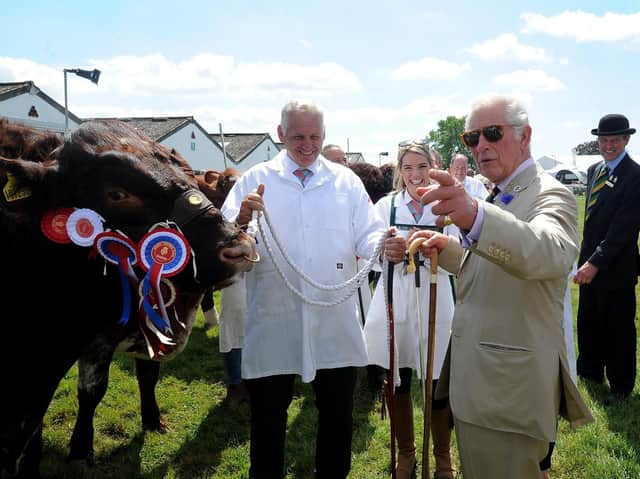 The Prince of Wales and the Duchess of Cornwall visit the Great Yorkshire Show, Harrogate... Prince Charles is pictured on the cattle lines at the show.. Image: Simon Hulme
