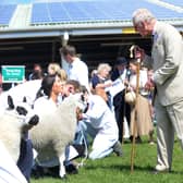 Royal Visit... The Prince of Wales and the Duchess of Cornwall, visit the Great Yorkshire Show, Harrogate... Prince Charles is pictured on the sheep lines at the show..15th July 2021..