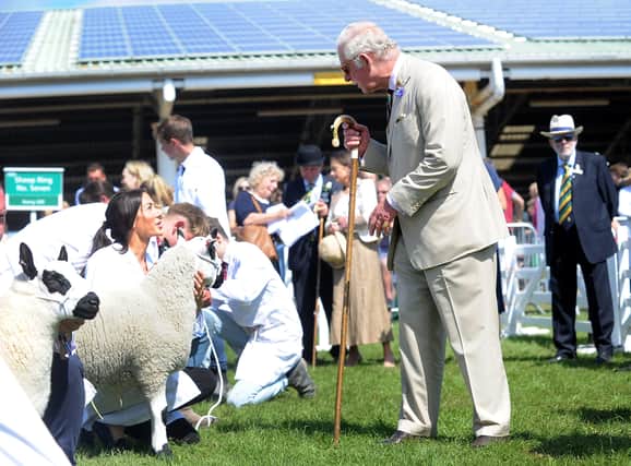 Royal Visit... The Prince of Wales and the Duchess of Cornwall, visit the Great Yorkshire Show, Harrogate... Prince Charles is pictured on the sheep lines at the show..15th July 2021..