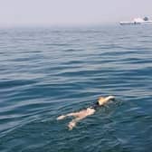English Channel success - The Harrogate team pictured swimming in one of the busiest shipping lanes in the world.