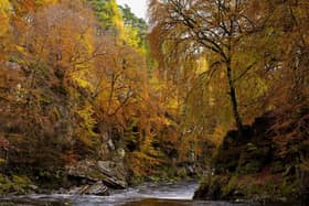 Glen Lyon Cascade by photographer Lindsay Alexander.