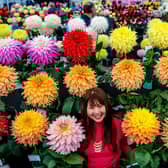 The Harrogate Autumn Flower Show is set for Newby Hall and Gardens this weekend