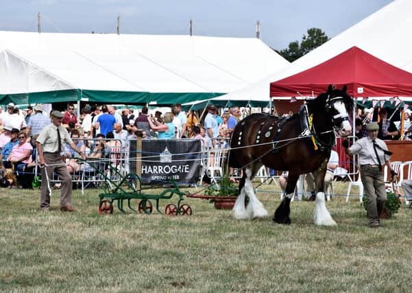 Fwd: Disappointment as this year's Tockwith Show is cancelled
