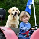 Wilfred Richardson (aged 2) sat on a tractor with Welly the dog