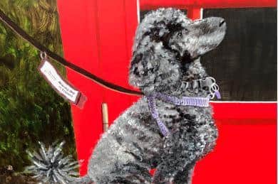 Hearing Dog Bruce, immortalised on a phone box painting in Knaresborough.
