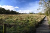 The green belt between Harrogate and Knaresborough alongside the A59. Photo: Gerard Binks.