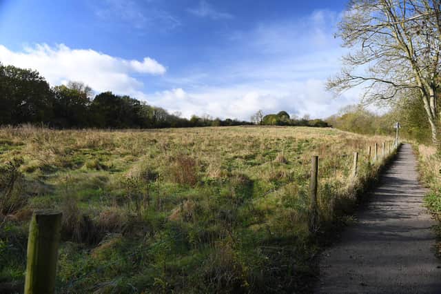 The green belt between Harrogate and Knaresborough alongside the A59. Photo: Gerard Binks.