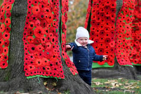Oliver Morton (aged 1) at Knaresborough Castle by the poppy trees ready for Remembrance Day
