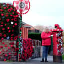 A wonderful knitted Remembrance display