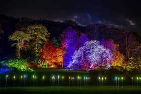 Winter Illuminations at RHS Garden Harlow Carr in Harrogate.
