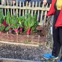 Fresh produce will feature in the new café’s dishes thanks to a partnership between RHS Garden Harlow Carr and Harrogate College.