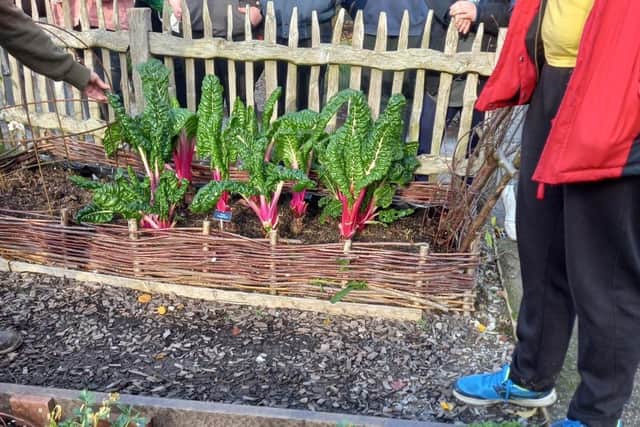 Fresh produce will feature in the new café’s dishes thanks to a partnership between RHS Garden Harlow Carr and Harrogate College.