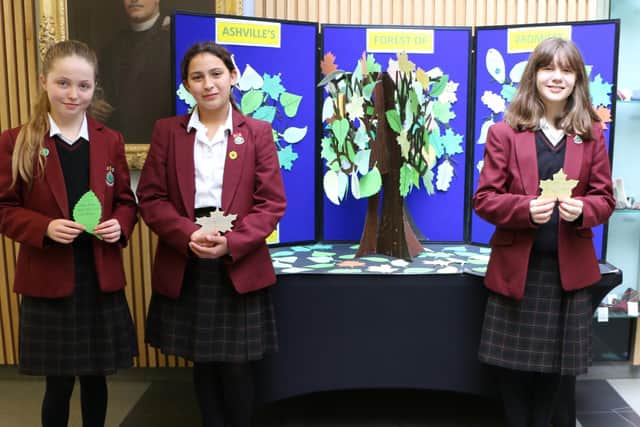 Youngsters at Harrogate's Ashville College have written pledges on one side of a leaf stating what they will do to address the climate crisis.