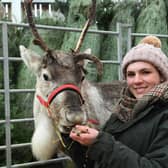 Sam Pugh of Brimham Rocks Adventure Farm with Hamish the reindeer at Crimple Christmas Market