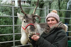 Sam Pugh of Brimham Rocks Adventure Farm with Hamish the reindeer at Crimple Christmas Market