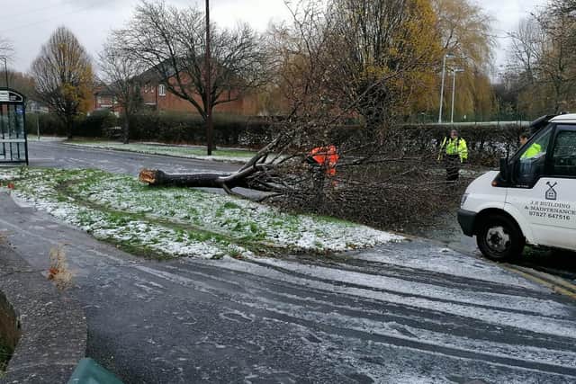 There were over 200 reports of fallen trees across the region, caused by Storm Arwen