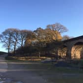 Wintry sunlight on the disused Crimple viaduct, by Andrew Mann.