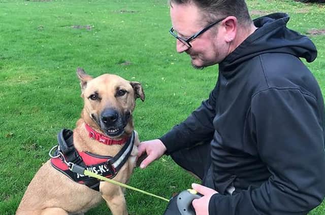 Mason is one of 24 very special rescue dogs who are in search of a new home - not just for Christmas, but for life