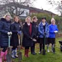 Annual tree-plantings are among many initiatives led by Ashville College’s dedicated Green Committee in Harrogate.