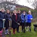 Annual tree-plantings are among many initiatives led by Ashville College’s dedicated Green Committee in Harrogate.