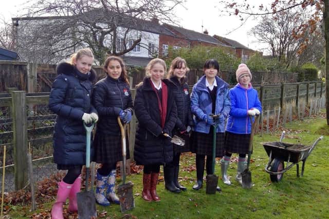 Annual tree-plantings are among many initiatives led by Ashville College’s dedicated Green Committee in Harrogate.