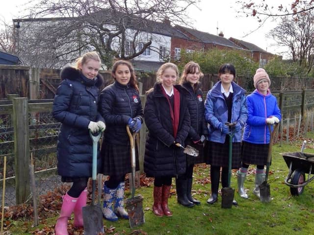 Annual tree-plantings are among many initiatives led by Ashville College’s dedicated Green Committee in Harrogate.