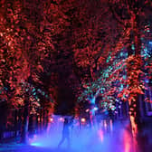 A 2021 hit for Harrogate International Festivals - 1571 The Waters That Made Us light installation celebrated 450 years since the discovery of spa waters in Harrogate.