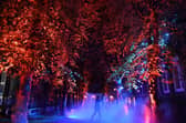 A 2021 hit for Harrogate International Festivals - 1571 The Waters That Made Us light installation celebrated 450 years since the discovery of spa waters in Harrogate.